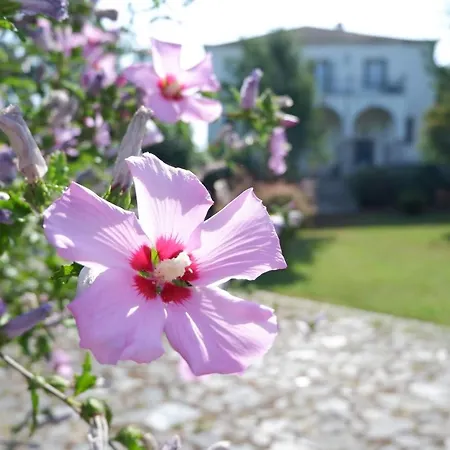 Casa de Campo Quinta Da Rica-fe